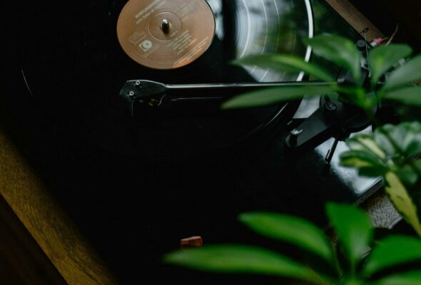 kevin-mccutcheon-TcSckNRL9J8-unsplash